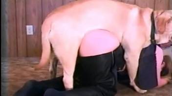 Submissive bitch with a tight pussy fucks a dog