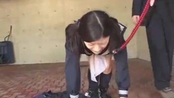 Japanese girl displays her rosy slit while banging a canine