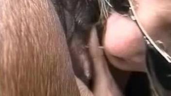 Mature babe cannot stop eating a mare's pussy