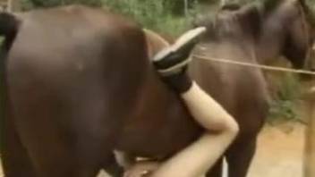 Animal porno scene with a brazen horse-loving beauty