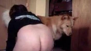 Fat zoophile jerking a dog's throbbing red cock