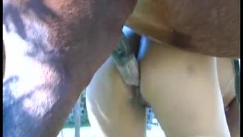 Nude lady gets invigorated from screwing the horse