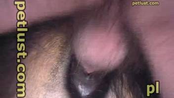 Guy craves to deeply pound his horse and bust a massive nut