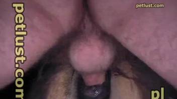 Man wants to dee fuck his horse and cum hard