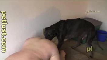 Fat dude with awful hair getting ass-blasted by a dog