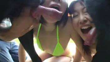 Pair of sexy Asian babes getting deepthroated by dogs simultaneously