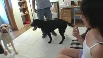 Asian opens wide for the dog to flood her mouth with cum