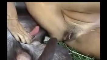 Tanned gal with a trimmed pussy fucks a sexy dog