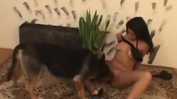 Perky-breasted Latina bottoms for her sexy dog