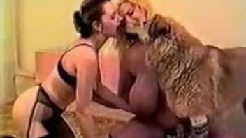 Big-breasted bimbo fucks a dog alongside her GF
