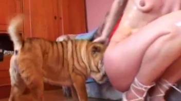 Blond-haired zoophile MILF fucked by a kinky dog