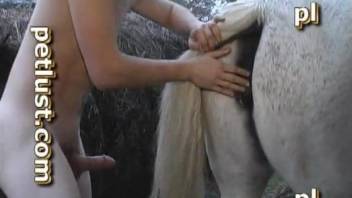 Horny young twink fucking a mare's cunt outdoors
