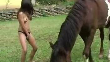 Huge horse cock getting worshiped by a Latina bitch