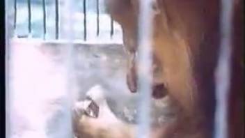 Classic footage featuring the finest interspecies encounters