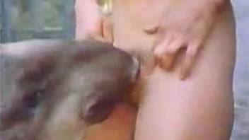 Vintage video with all the best bestiality banging