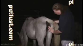 Guy anally penetrates horse in wild montage of bizarre clips