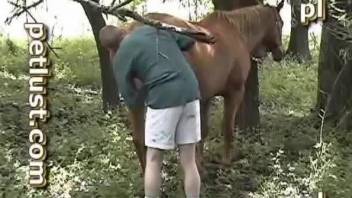 Sexy mare pussy stretched out in a hot zoo video