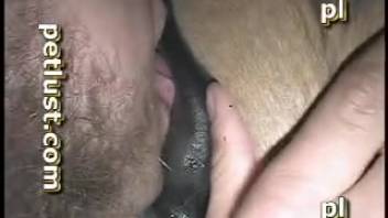 Aroused guy aggressively screws a horse on live webcam