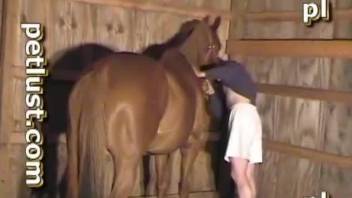 British guy cannot wait to fuck a good-looking mare