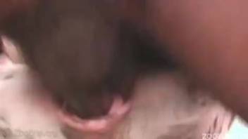 African American guy screws his female dog and climaxes by ejaculating inside her pussy