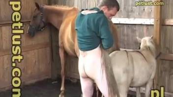 Man tries fucking both his horses in a kinky cam play