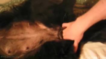 Aroused guy craves to deeply penetrate his dog in a close-up POV