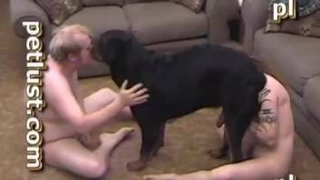 Horny old couple sharing a dog cock in pretty kinky scenes