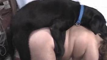 Fat mature lady getting fucked on all fours by a dog