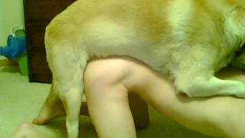 Aroused guy enjoys experimenting with anal intercourse with his canine