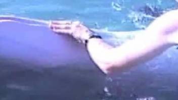 Dude with playful hands teasing a horny dolphin