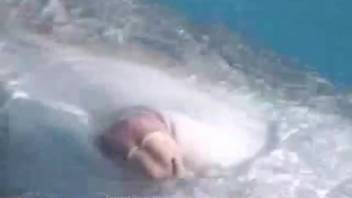 Guy provokes a dolphin till it reveals its steamy dick