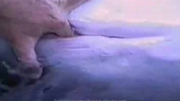 Guy digitally penetrating a dolphin's snug petite vagina