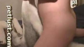 Sexy dude banging a dog's tight pussy on the bed