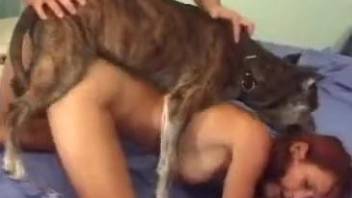 Red-haired beauty shines in a threesome with a sexy dog