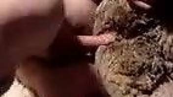 Aroused female gets intimate with a furry animal on live cam