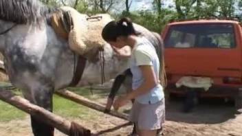 Ponytailed Latina training a horse to fuck her good