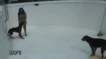 Latina gets double-teamed by dogs in an empty pool