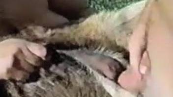 Horny people happily fucking animals in a kinky zoo porn vid