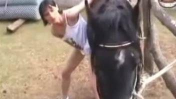 Brunette showing her oral skills with a sexy horse
