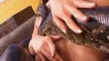 Wavy-haired brunette enjoying masturbation with a snake