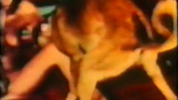 Classic animal sex clip featuring numerous alluring females