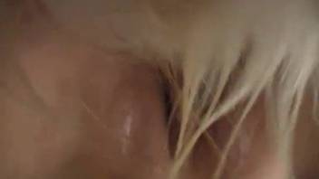 Aroused ladies screwing beasts in an incredibly erotic manner