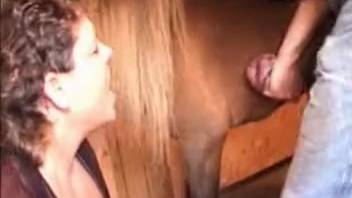 Older woman with thick rear, intense horse bestiality at home