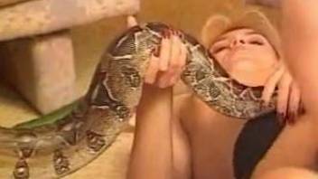 Sexually desperate housewives fuck the same snake