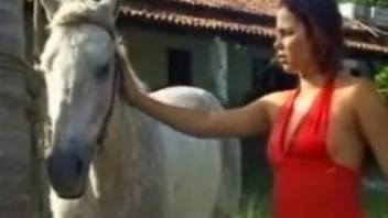 Horse Outdoor Sex with Girl