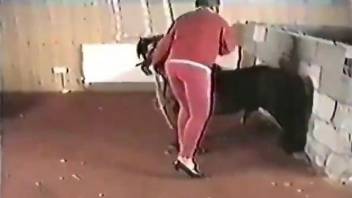 Black dog banging a tight pussy in a retro zoo sex vid