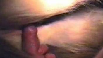 Horny dude deals a dog vagina in insane zoo cam scenes