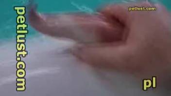 Guy fondles a dolphin's weirdly shaped dick in first-person view