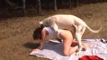Naked female feels dog penis in her juicy cunt