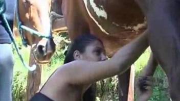 Outdoor handjob video featuring a big-dicked stallion